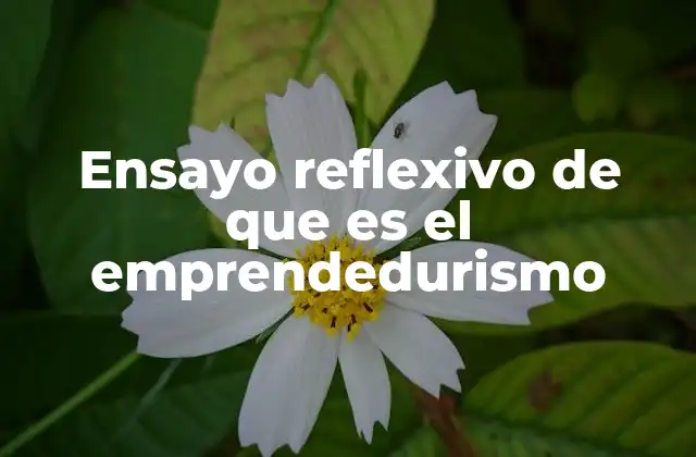 Ensayo Reflexivo de que es el Emprendedurismo 2 La importancia del emprendedurismo en la sociedad