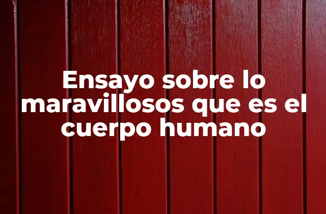 Ensayo sobre Lo Maravillosos que es el Cuerpo Humano