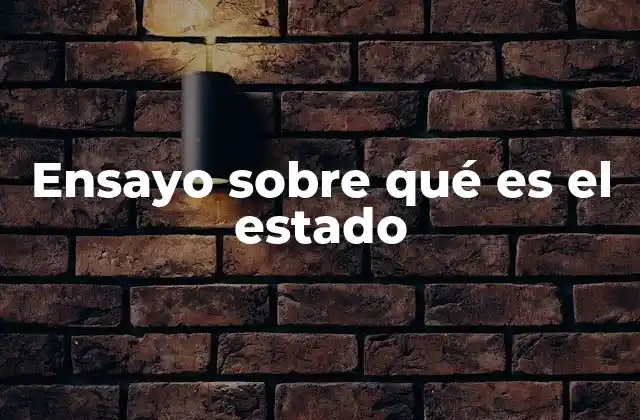 Ensayo sobre Qué es el Estado