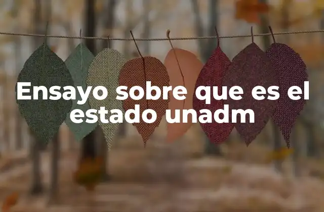 Ensayo sobre que es el Estado Unadm