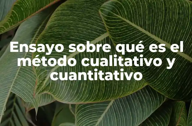 Ensayo sobre Qué es el Método Cualitativo y Cuantitativo