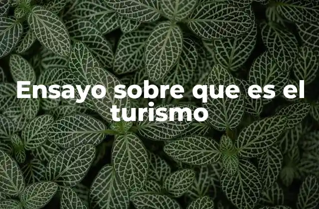 Ensayo sobre que es el Turismo