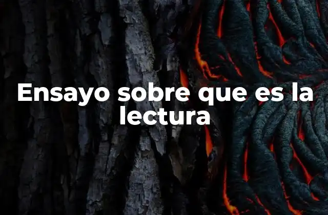 Ensayo sobre que es la Lectura
