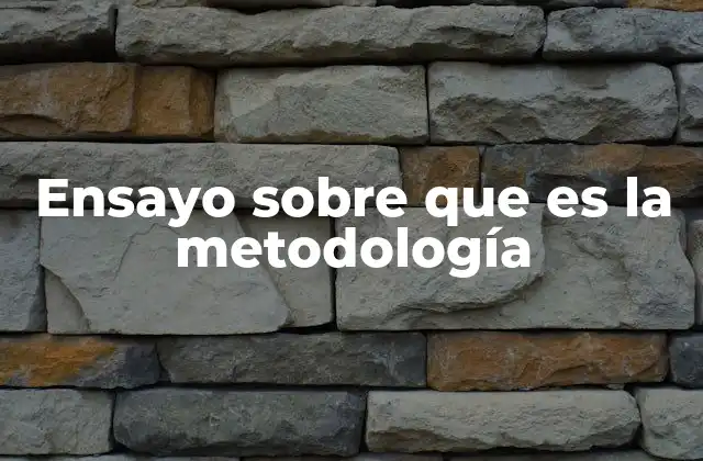 Ensayo sobre que es la Metodología