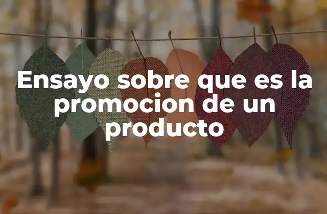 Ensayo sobre que es la Promocion de un Producto