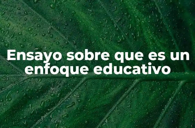 Ensayo sobre que es un Enfoque Educativo