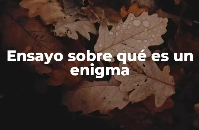 Ensayo sobre Qué es un Enigma
