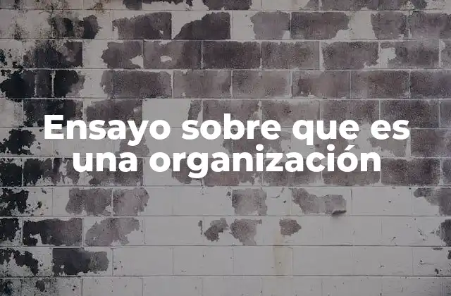 Ensayo sobre que es una Organización
