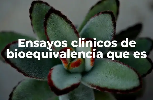 Ensayos Clinicos de Bioequivalencia que es