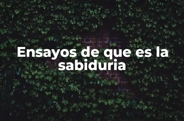 La sabiduría como guía en la toma de decisiones