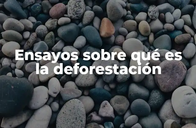 Ensayos sobre Qué es la Deforestación