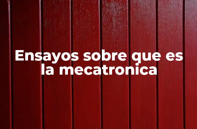 Ensayos sobre que es la Mecatronica