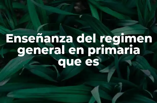 Enseñanza Del Regimen General en Primaria que es