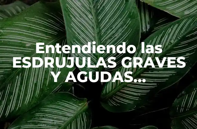 Entendiendo las Esdrujulas Graves y Agudas Sobreesdrujulas en el Español