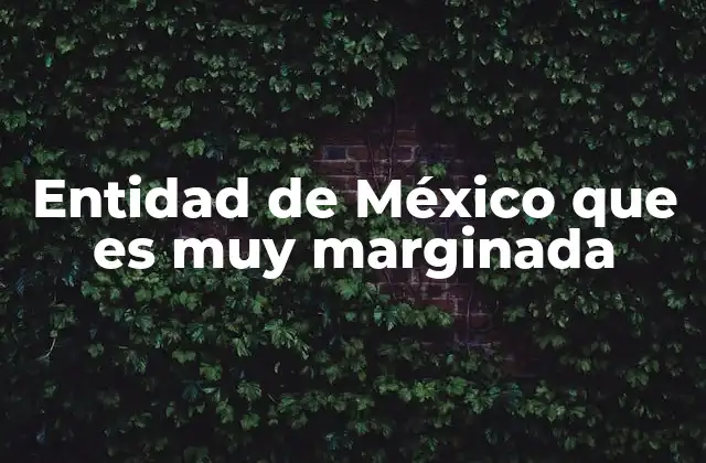 Entidad de México que es Muy Marginada