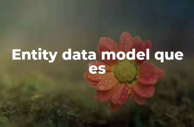 Entity Data Model que es