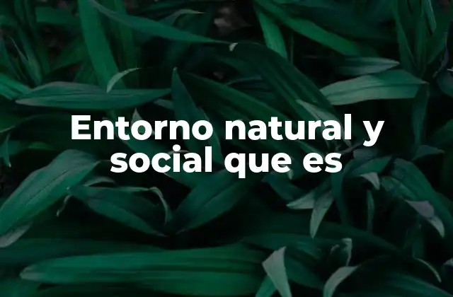 Entorno Natural y Social que es 3 La influencia del entorno en la vida cotidiana
