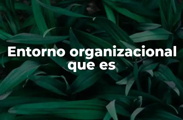 Entorno Organizacional que es
