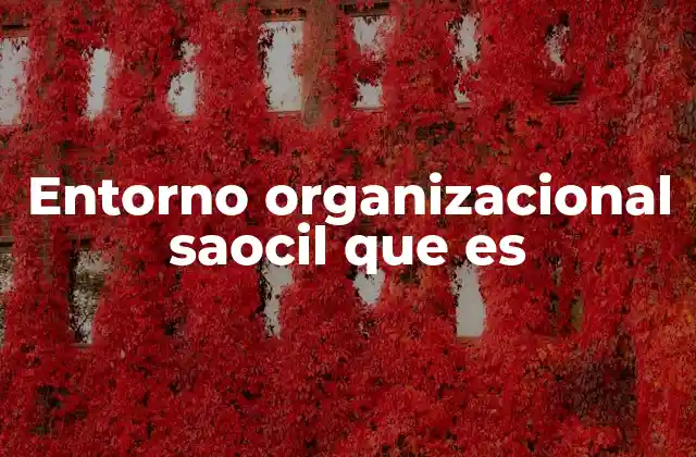Entorno Organizacional Saocil que es