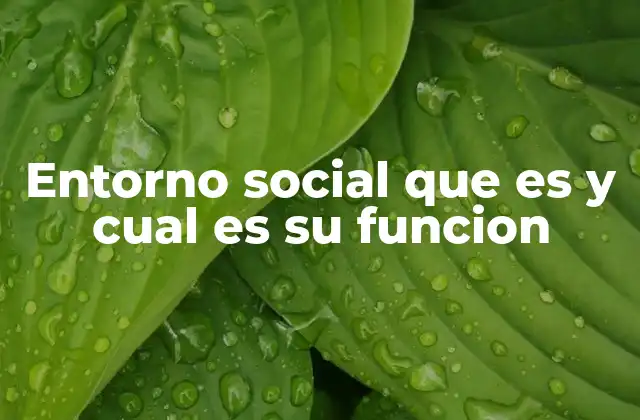 Entorno Social que es y Cual es Su Funcion