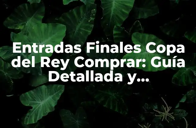 ¿Cuándo Se Ponen a la Venta las Entradas de la Final de la Copa del Rey?