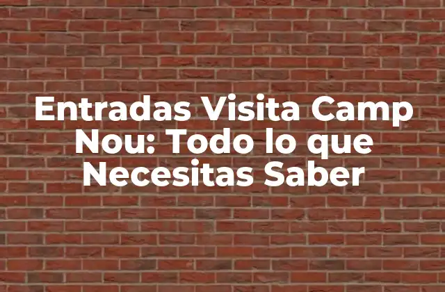 ¿Cuándo es el Mejor Momento para Visitar el Camp Nou?
