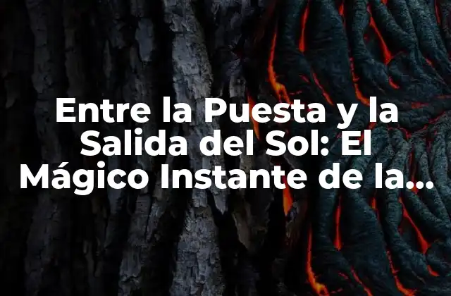 Entre la Puesta y la Salida Del Sol: el Mágico Instante de la Luz