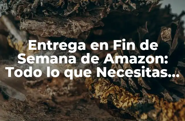 Entrega en Fin de Semana de Amazon: Todo Lo que Necesitas Saber