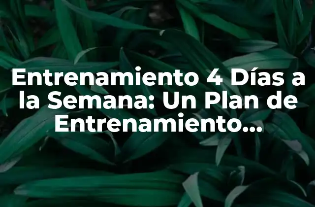 Entrenamiento 4 Días a la Semana: un Plan de Entrenamiento Efectivo