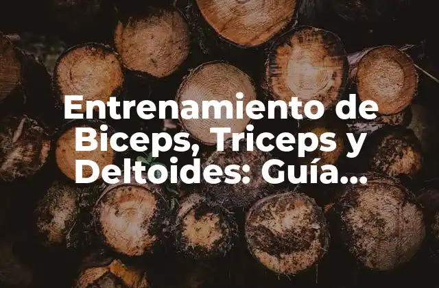 Entrenamiento de Biceps, Triceps y Deltoides: Guía Completa para Desarrollar Brazos Fuertes
