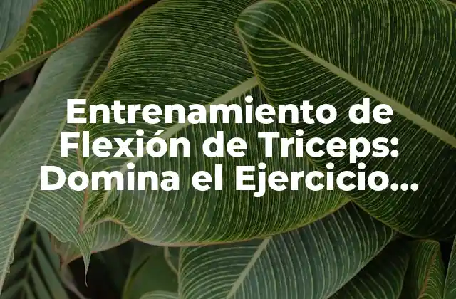 Entrenamiento de Flexión de Triceps: Domina el Ejercicio Perfecto