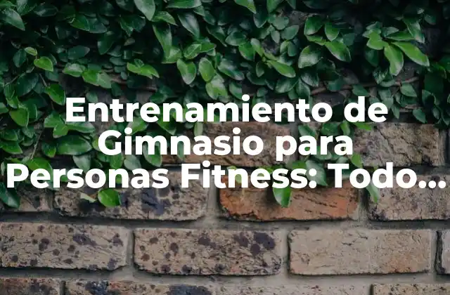 Entrenamiento de Gimnasio para Personas Fitness: Todo Lo que Necesitas Saber