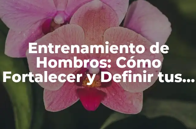 Entrenamiento de Hombros: Cómo Fortalecer y Definir Tus Hombros