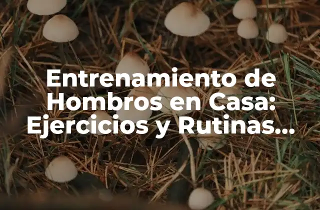Entrenamiento de Hombros en Casa: Ejercicios y Rutinas para Fortalecer Tus Hombros
