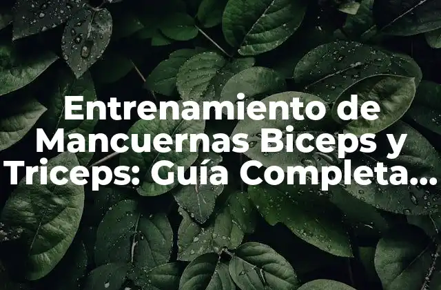 Entrenamiento de Mancuernas Biceps y Triceps: Guía Completa para Fortalecer Tus Brazos