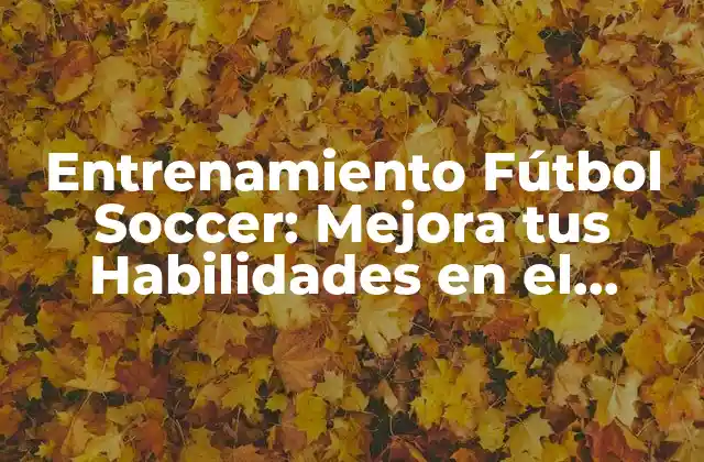 Entrenamiento Fútbol Soccer: Mejora Tus Habilidades en el Campo
