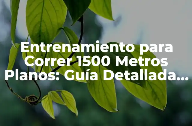 Entrenamiento para Correr 1500 Metros Planos: Guía Detallada y Completa