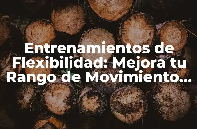 Entrenamientos de Flexibilidad: Mejora Tu Rango de Movimiento con Estiramientos