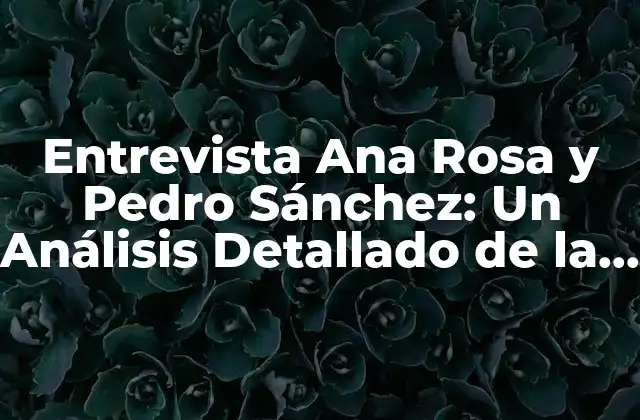 Entrevista Ana Rosa y Pedro Sánchez: un Análisis Detallado de la Polémica Entrevista