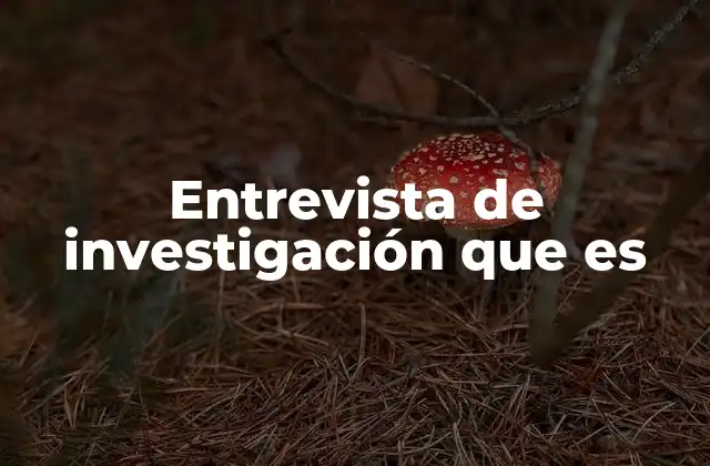 Entrevista de Investigación que es