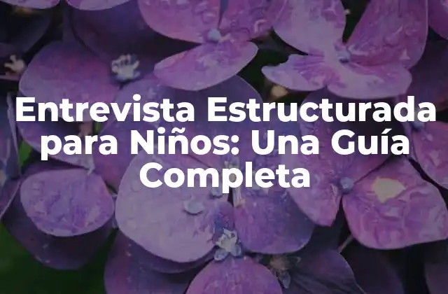 ¿Qué es una Entrevista Estructurada para Niños?