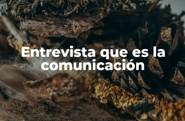 Entrevista que es la Comunicación