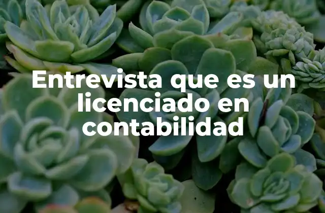 Entrevista que es un Licenciado en Contabilidad