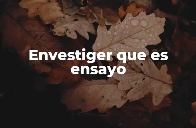 Envestiger que es Ensayo