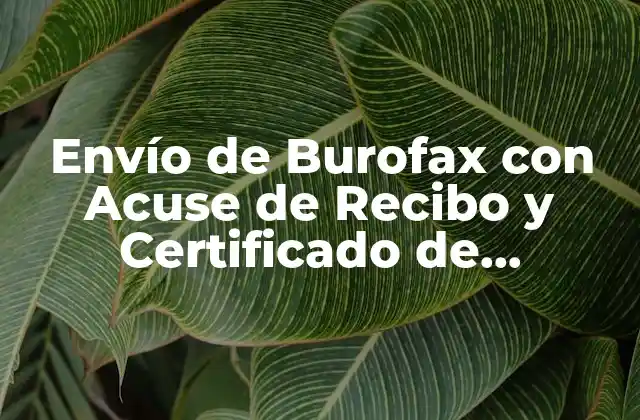 Envío de Burofax con Acuse de Recibo y Certificado de Contenido: Todo Lo que Necesitas Saber