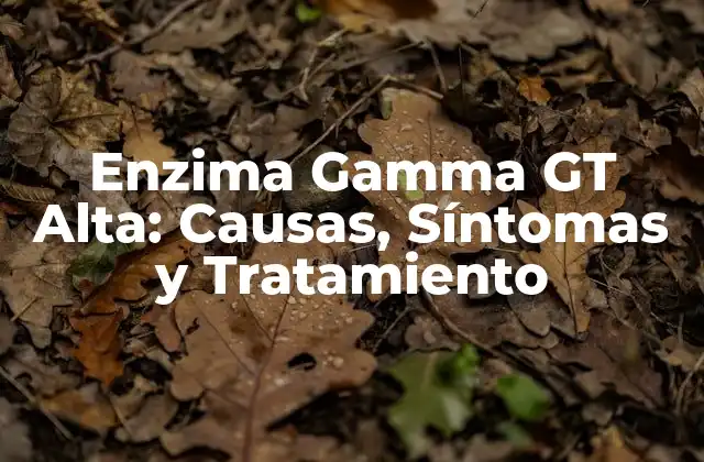 Enzima Gamma Gt Alta: Causas, Síntomas y Tratamiento
