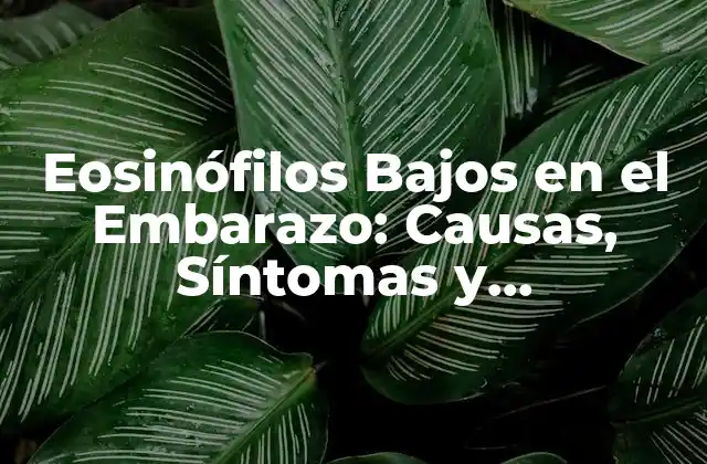 Eosinófilos Bajos en el Embarazo: Causas, Síntomas y Tratamiento