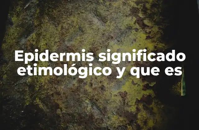 Epidermis Significado Etimológico y que es