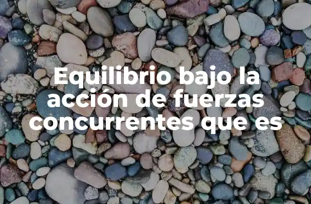 Equilibrio bajo la Acción de Fuerzas Concurrentes que es