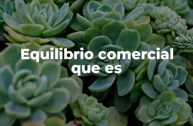 La importancia del equilibrio comercial en la economía global